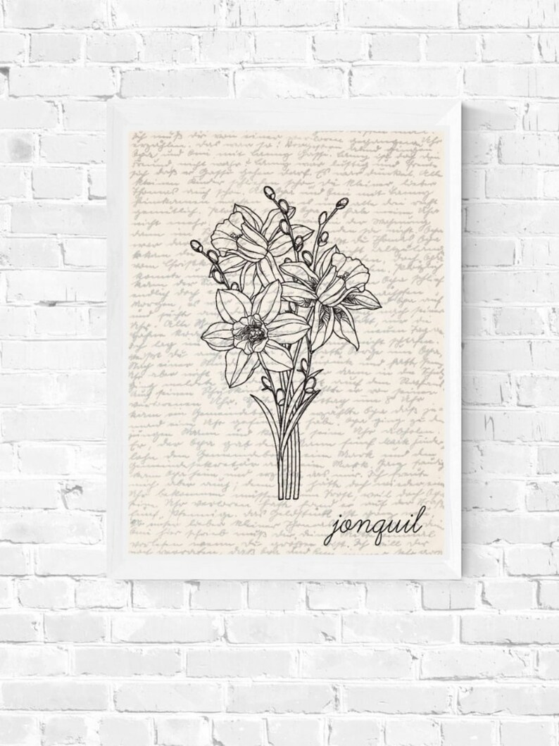 May include: A black and white line drawing of a bouquet of jonquils on a vintage background with handwritten text. The text at the bottom of the image reads "jonquil".