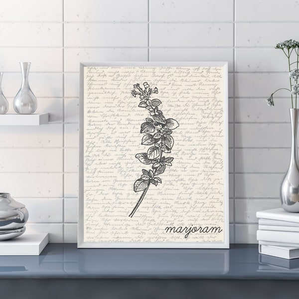 Marjoram Wall Art | Herb Wall Art | Marjoram Poster | Marjoram Print | Marjoram Illustration | Sketch | Digital Marjoram Sketch Wall Art