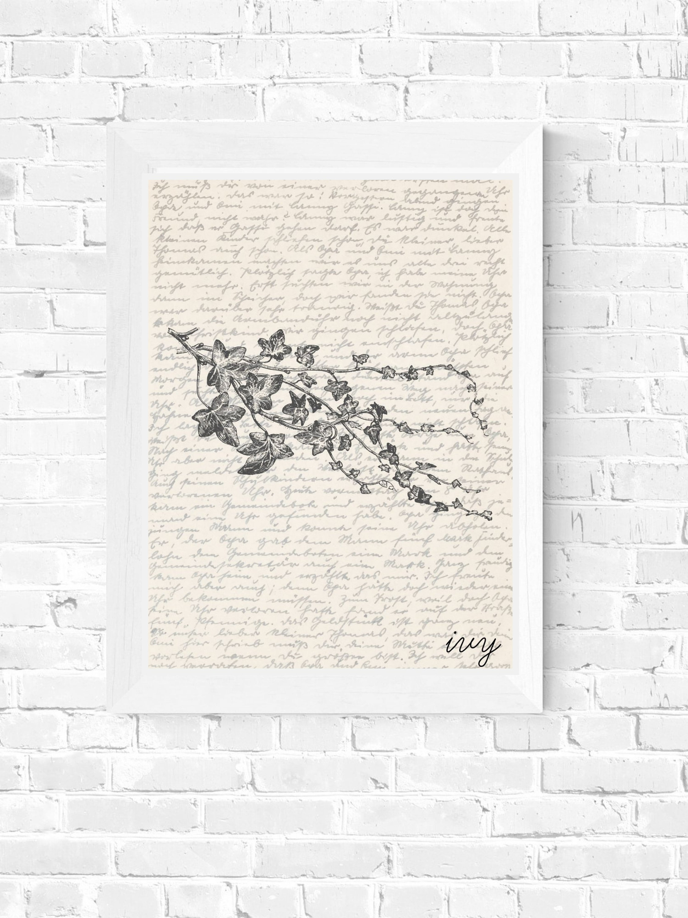 Ivy Wall Art Plant Wall Art Ivy Vine Print Ivy Poster Etsy México