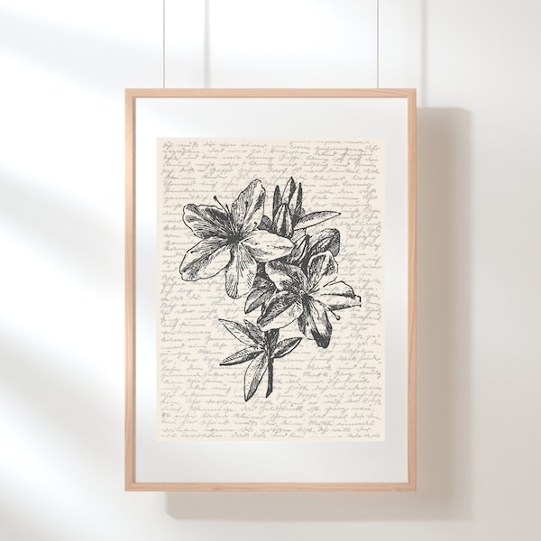 Azalea Wall Art | Floral Wall Art | Wildflower Print | Azalea Poster | Botanical Print | Flower Illustration | Sketch | Digital Floral Art