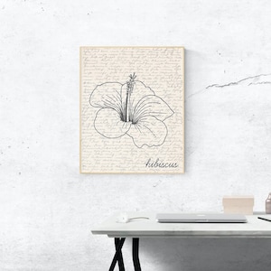 Puede incluir: Una impresi&oacute;n art&iacute;stica enmarcada con un dibujo lineal en blanco y negro de una flor de hibisco. La flor se encuentra sobre un fondo de escritura manuscrita. La palabra "hibiscus" est&aacute; escrita debajo de la flor.