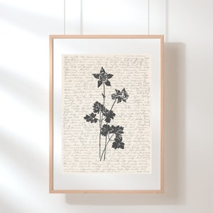 Columbine Flower Wall Art | Wildflower Print | Colorado State Flower | Flower Illustration | Sketch | Digital Floral Art | Columbine Poster