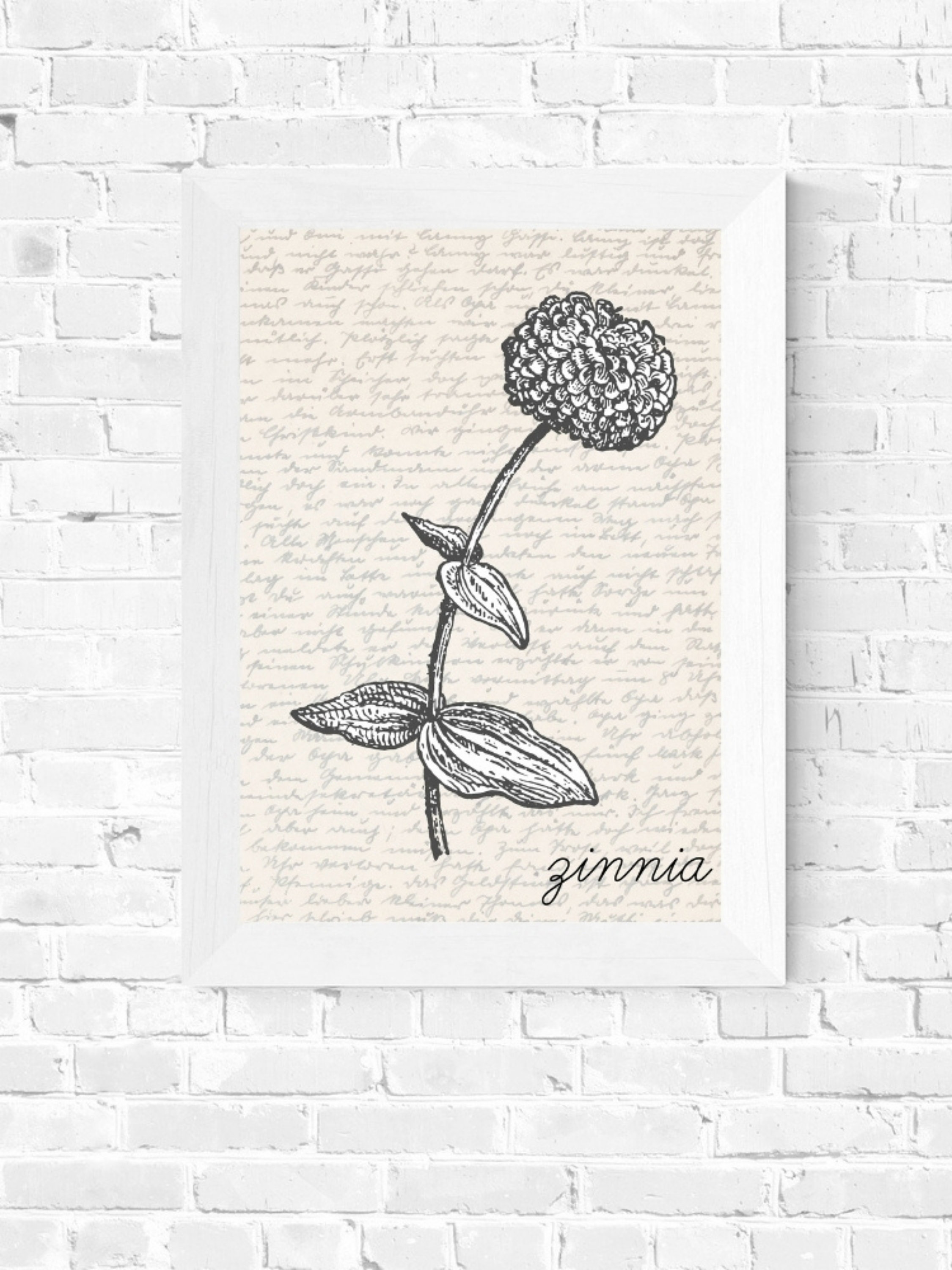 Zinnia Wall Art Flower Print Art Floral Wall Art Etsy España