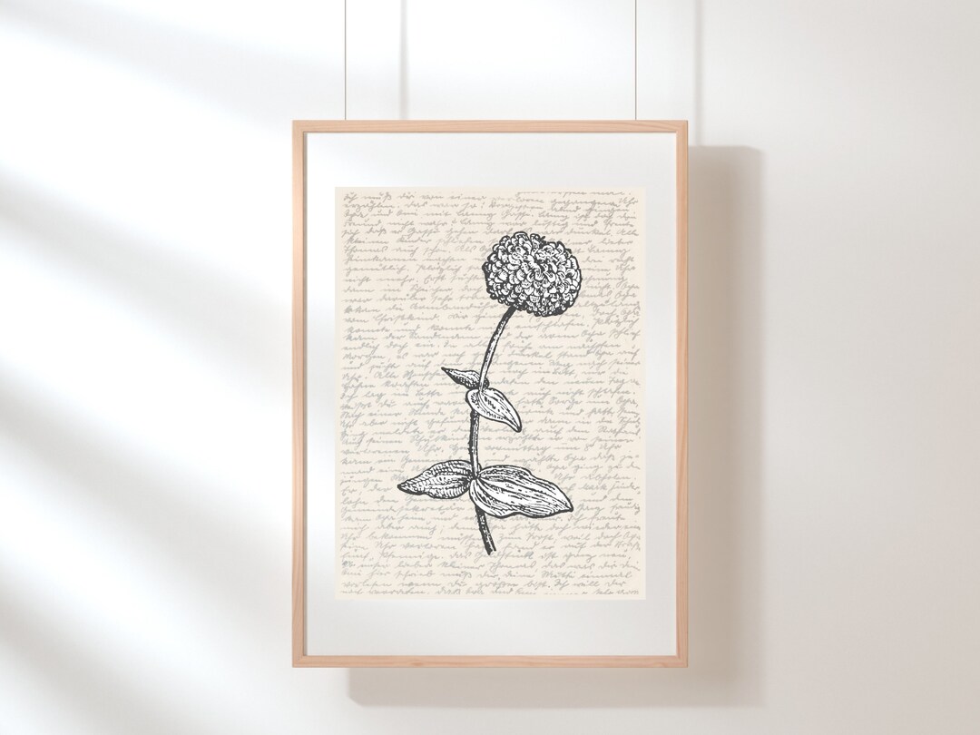 Zinnia Wall Art Flower Print Art Floral Wall Art Etsy España
