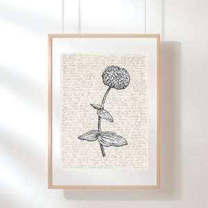 Zinnia Wall Art | Flower Print Art | Floral Wall Art | Wildflower Print | Zinnia Poster | Flower Poster | Botanical Print | Sketch | Digital