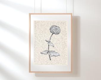 Arte de pared Zinnia / Arte con estampado de flores / Arte floral de la pared / Impresión de flores silvestres / Cartel de Zinnia / Cartel de flores / Impresión botánica / Boceto / Digital