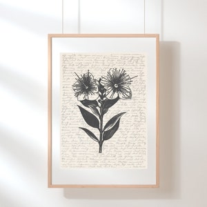 Myrtle Wall Art | Floral Wall Art | Wildflower Print | Myrtle Poster | Flower Illustration | Sketch | Digital Myrtle Flower Art Printable