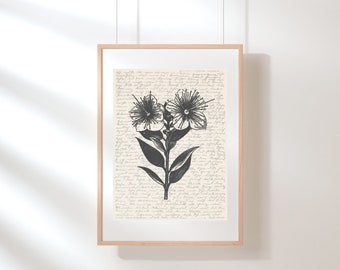 Arte della parete di mirto / Arte della parete floreale / Stampa di fiori di campo / Poster di mirto / Illustrazione di fiori / Schizzo / Arte del fiore di mirto digitale stampabile