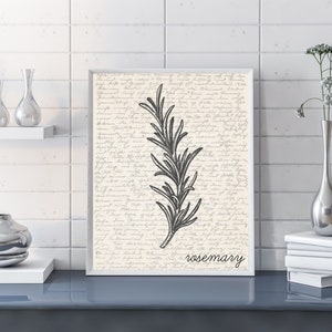 Rosemary Wall Art | Herb Wall Art | Rosemary Poster | Rosemary Print | Rosemary Illustration | Sketch | Digital Rosemary Sketch Wall Art