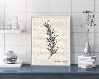 Rosemary Wall Art | Herb Wall Art | Rosemary Poster | Rosemary Print | Rosemary Illustration | Sketch | Digital Rosemary Sketch Wall Art