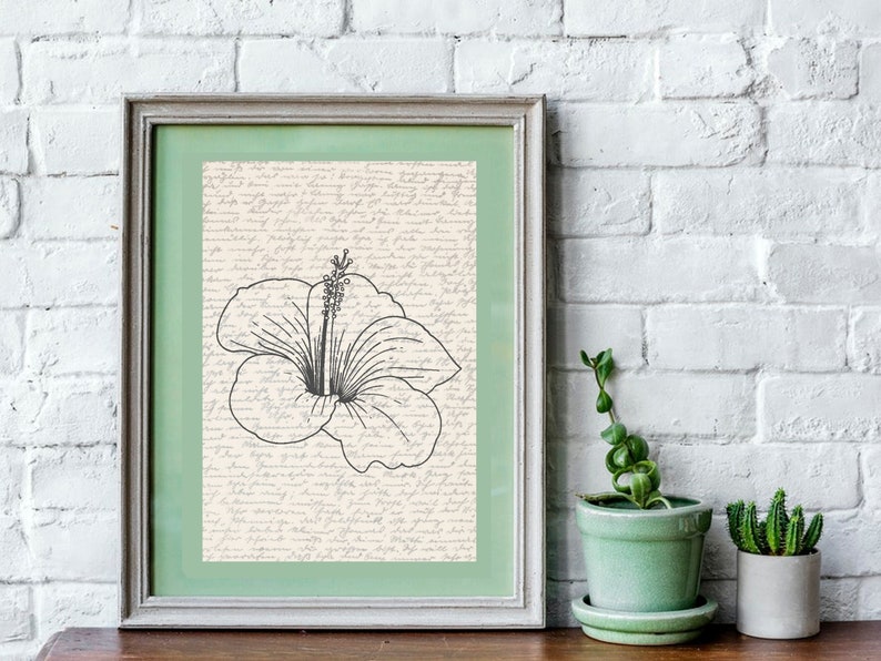 Puede incluir: Impresi&oacute;n art&iacute;stica enmarcada con una ilustraci&oacute;n de flor de hibisco en blanco y negro. La obra de arte est&aacute; sobre un fondo de escritura manuscrita y enmarcada en un marco plateado con un passe-partout verde. La impresi&oacute;n se muestra sobre una superficie de madera.