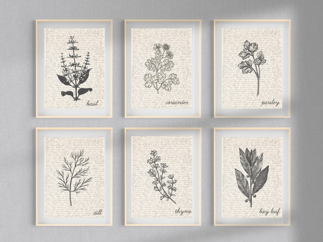 Set of 10 Herb Printable Wall Art | Kitchen Decor | Basil, Rosemary ...