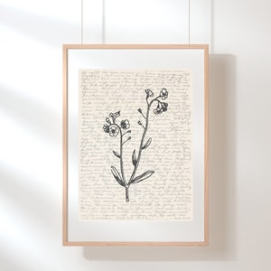 Forget-me-not Wall Art | Alaska State Flower Art | Wildflower Print | Flower Illustration | Sketch | Digital Floral Art | Botanical Poster