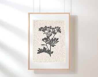 Arte de la pared de la calle / Arte floral de la pared / Impresión de flores silvestres / Cartel de la calle / Impresión botánica / Ilustración floral / Boceto / Arte floral de la calle digital