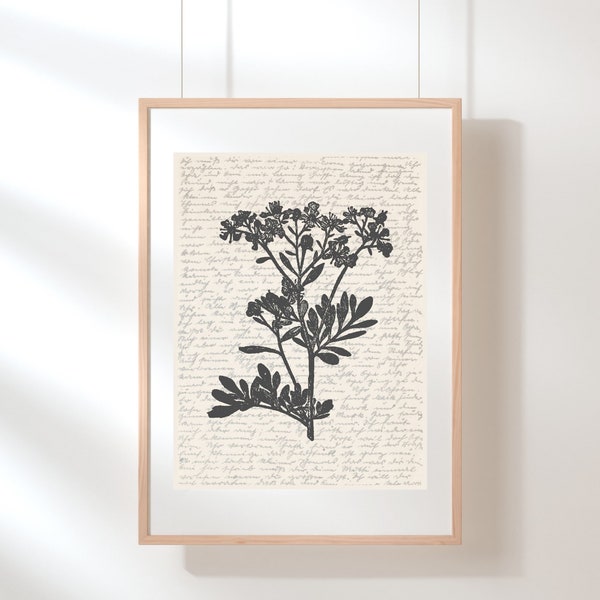 Rue Wall Art | Floral Wall Art | Wildflower Print | Rue Poster | Botanical Print | Floral Illustration | Sketch | Digital Rue Floral Art