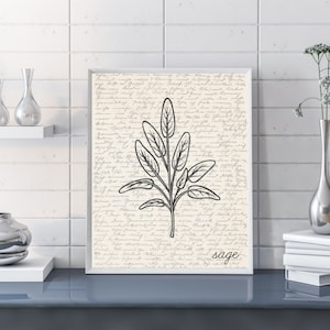 Salbei Wandkunst | Kräuter Wand Kunst | Salbei Poster | Salbei Druck | Salbei Illustration | Skizze | Digitale Salbei Skizze Wandkunst | Küchenkraut Salbei Art