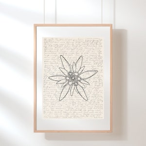 Edelweiss Wall Art | Floral Wall Art | Wildflower Print | Edelweiss Poster | Flower Illustration | Sketch | Digital Floral Art | Botanical