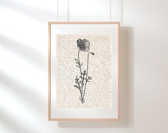 Poppy Wall Art | California State Flower | Floral Wall Art | Wildflower Print | Poppy Poster | August Birth Month Flower | Sketch | Digital