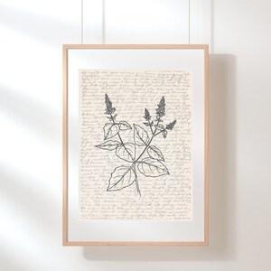 Arte de la pared de pachulí / Arte de la pared de la planta / Cartel de pachulí / Impresión de pachulí / Boceto / Impresión digital de arte de pared de la planta de pachulí / Arte de pachulí
