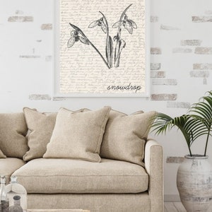 K&ouml;nnte beinhalten: Eine Schwarzwei&szlig;illustration von Schneegl&ouml;ckchen auf cremefarbenem Hintergrund mit dem Wort "snowdrop" unterhalb der Illustration.
