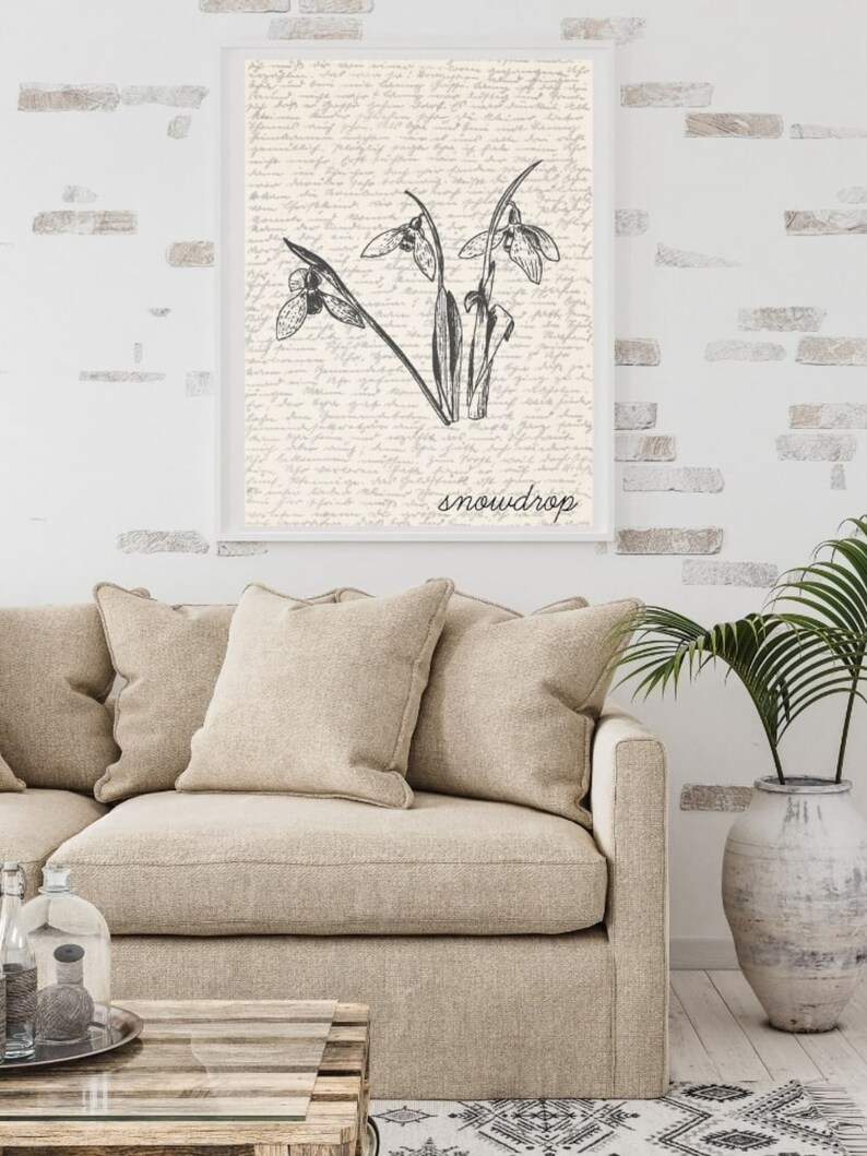 K&ouml;nnte beinhalten: Eine Schwarzwei&szlig;illustration von Schneegl&ouml;ckchen auf cremefarbenem Hintergrund mit dem Wort "snowdrop" unterhalb der Illustration.