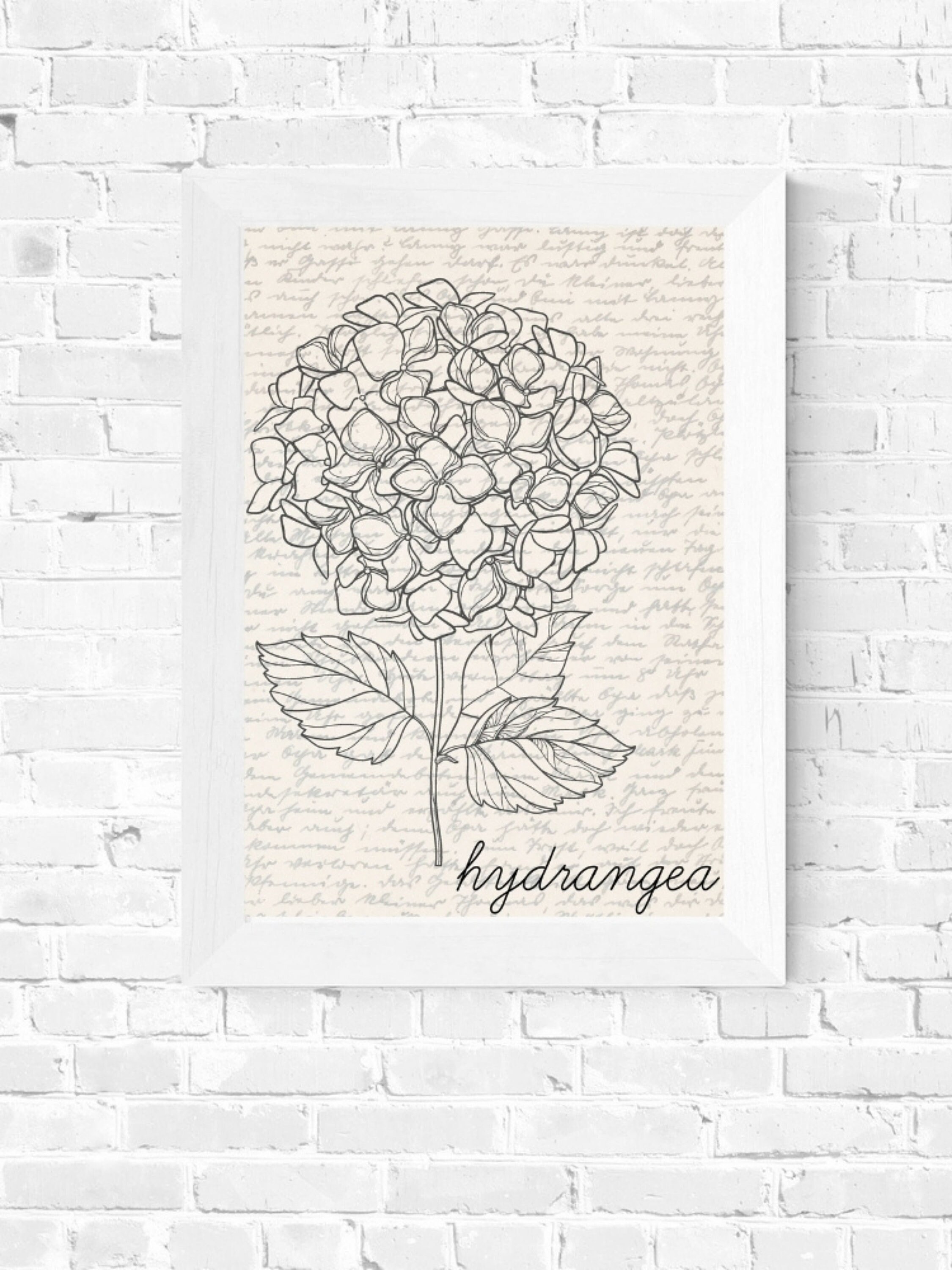 Hydrangea Wall Art Floral Wall Art Wildflower Print - Etsy