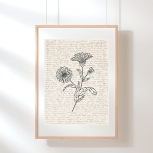 Calendula Wall Art | Floral Wall Art | Wildflower Print | Calendula Poster | Botanical Print | Flower Illustration | Sketch | Digital Art