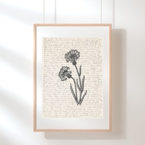 Cornflower Wall Art | Floral Wall Art | Wildflower Print | Cornflower Poster | Flower Illustration | Sketch | Digital Floral Art | Botanical