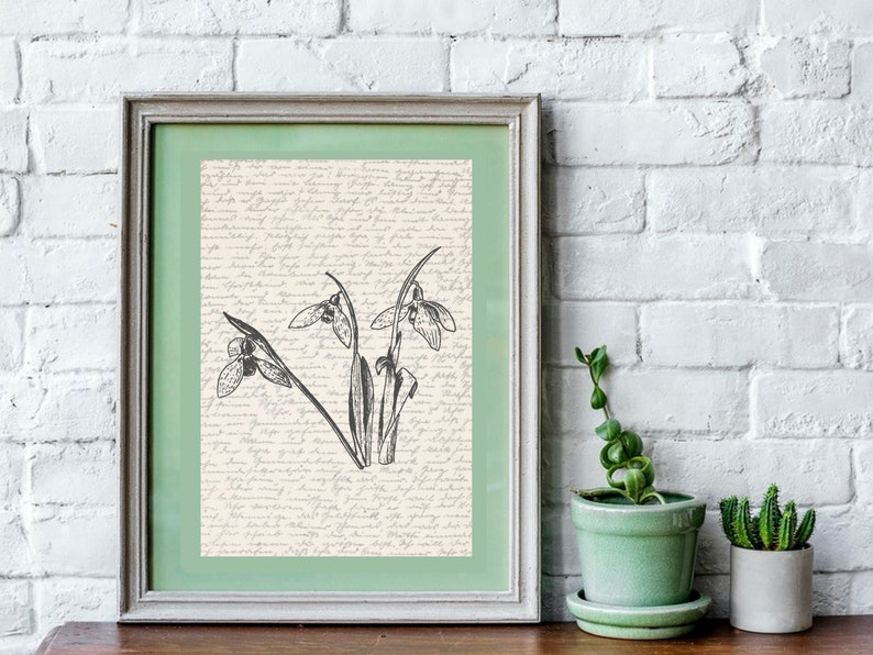 K&ouml;nnte beinhalten: Eine gerahmte Schwarzwei&szlig;illustration von Schneegl&ouml;ckchen auf cremefarbenem Hintergrund mit handschriftlichem Text. Der Rahmen ist hellgrau mit einer gr&uuml;nen Passepartout.