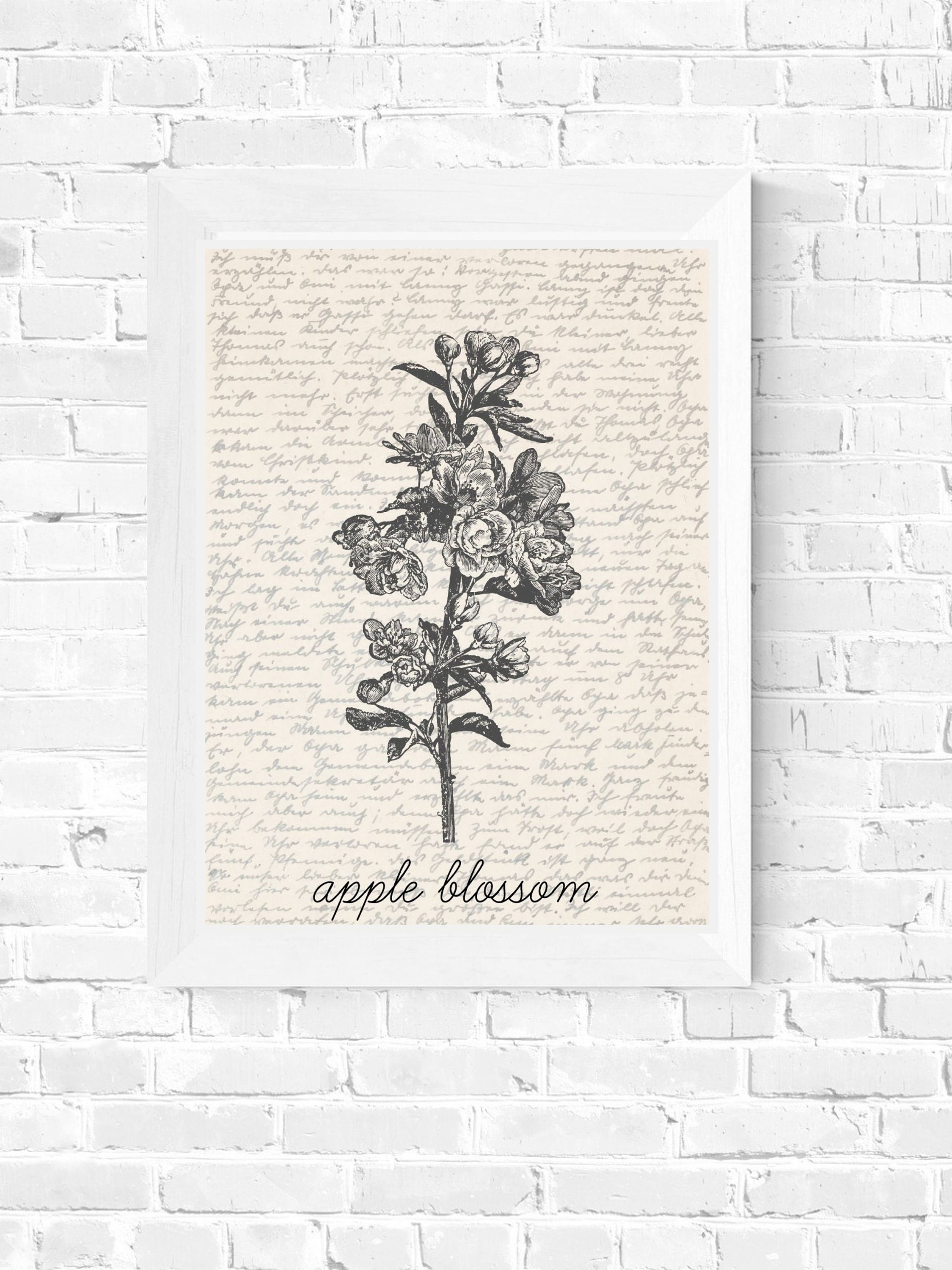 Apple Blossom Wall Art | Tree Wall Art | Apple Blossom Poster ...