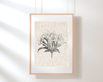 Jasmine Wall Art | Floral Wall Art | Tea Print | Jasmine Poster | Botanical Print | Flower Illustration | Sketch | Digital Floral Tea Art