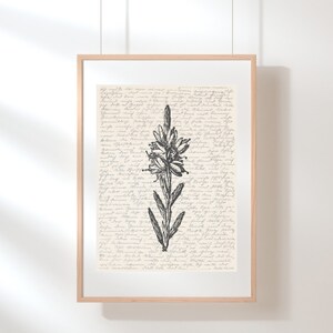 Heather Wall Art | Floral Wall Art | Wildflower Print | Heather Poster | Botanical Print | Flower Illustration | Sketch | Digital Floral Art