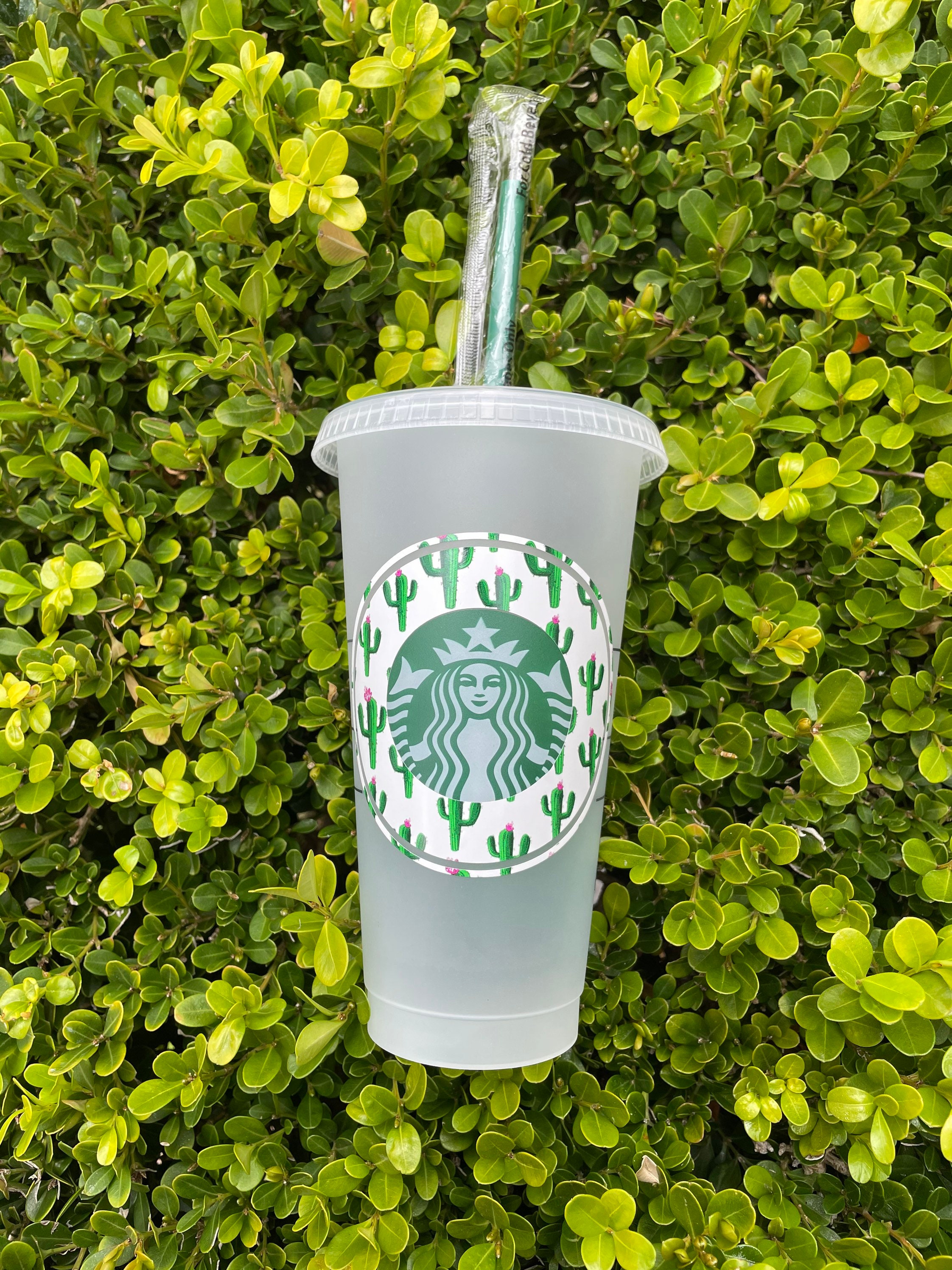 starbucks cactus cup