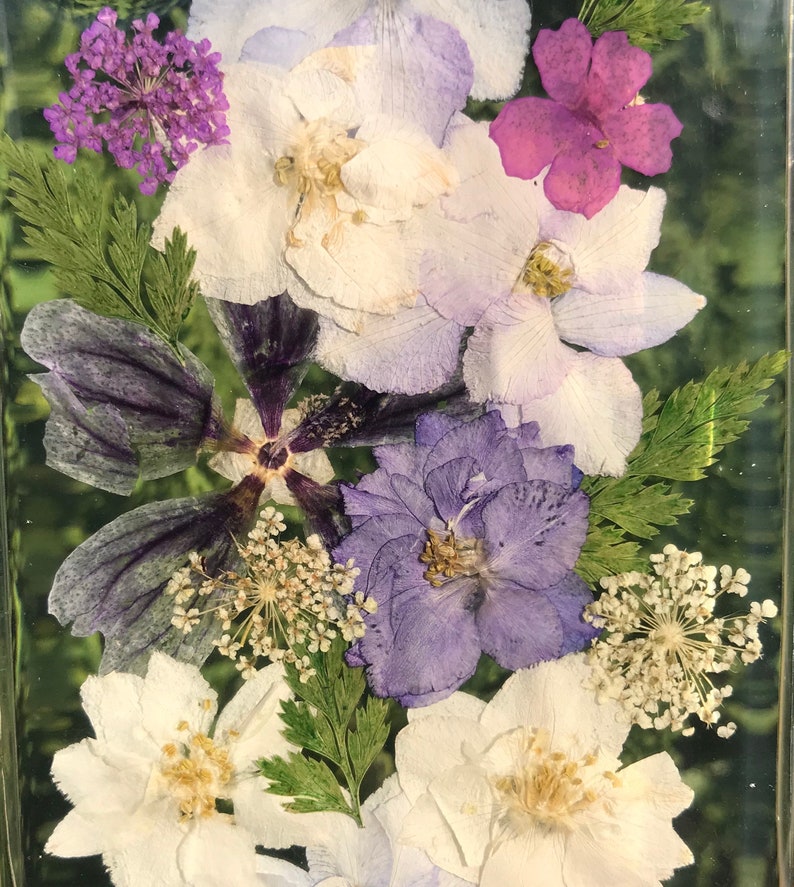 Handmade real dried pressed flowers iPhone case XS Max XR iPhone XXS