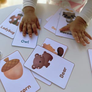 Woodland Animal Flashcards, Matching Cards, Montessori Materials, School, Preschool, Homeschool Printables, Classroom, Instant Download