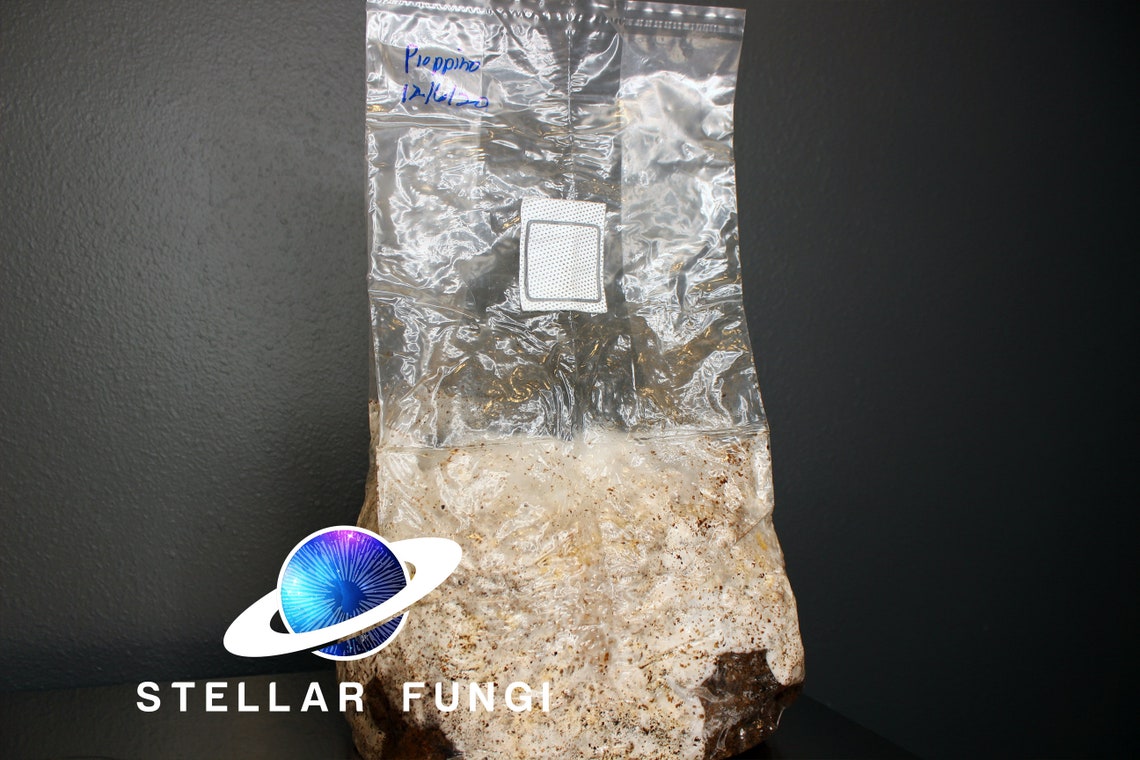 Mushroom Grow Bags 14A Unicorn 57lb .5 Micron 8x5x19 2.2 Mil