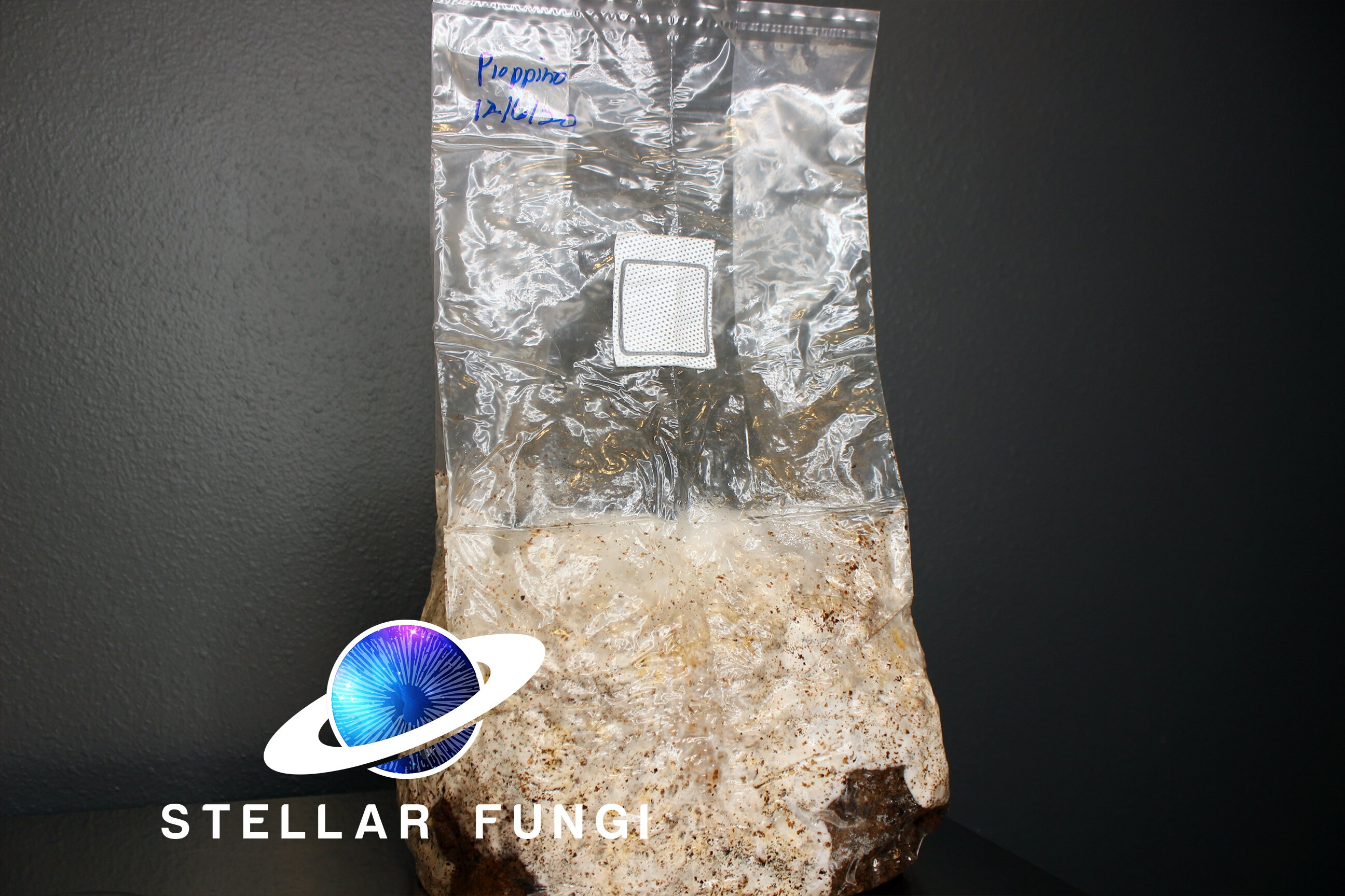 Mushroom Grow Bags 14A Unicorn 57lb .5 micron Etsy