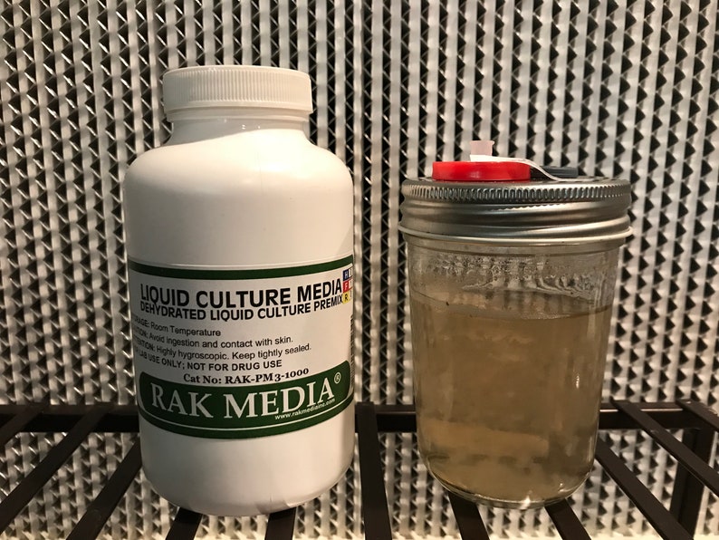 Lion's Mane hericium Erinacius Liquid Culture 10ml Etsy