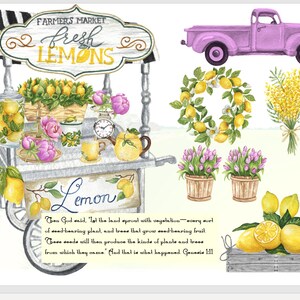 Purple Lemonade