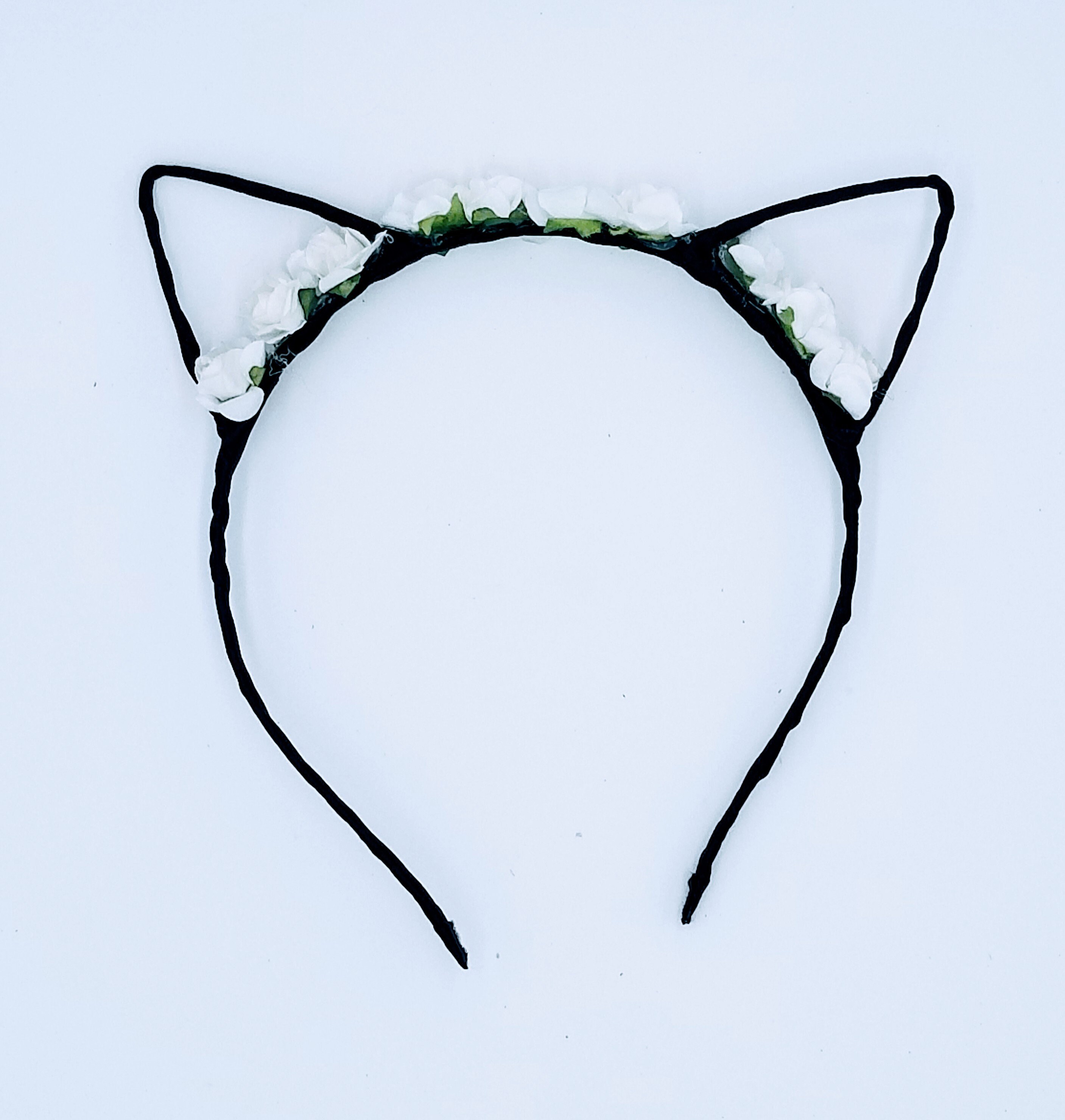 Beautiful Flowering Cats Ears Etsy