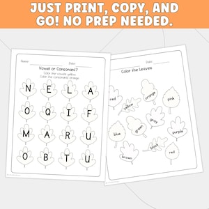 May include: Two educational worksheets featuring black and white line art of leaves. The first sheet titled Vowel or Consonant? contains letters inside leaf outlines. The second sheet titled Color the Leaves features leaves labeled with color names.