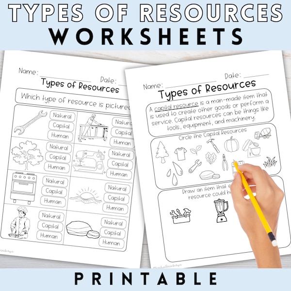 Types of Resources Worksheets | Printable Social Studies Worksheets, Second Grade Worksheets, Homeschool Social Studies Worksheet, 2nd Grade