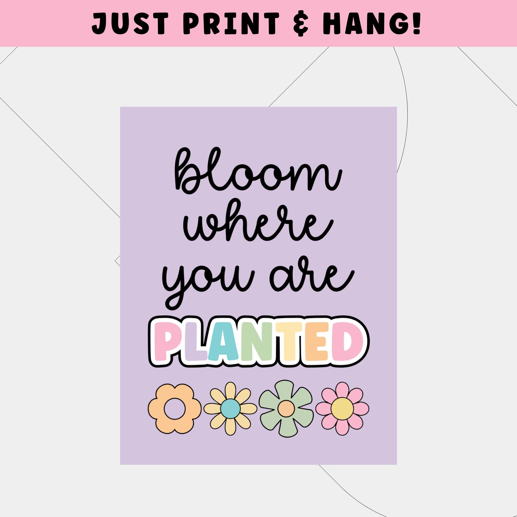 Motivational Posters for Classroom | Inspirational Posters for Pastel ...