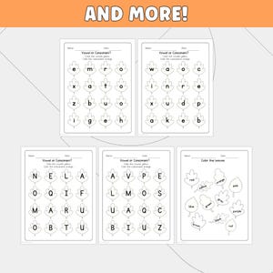 May include: Five educational worksheets featuring black and white line art of leaves. Four sheets contain grids of letters labeled Vowel or Consonant, and one sheet features leaves labeled with color names. The top banner displays the text AND MORE!