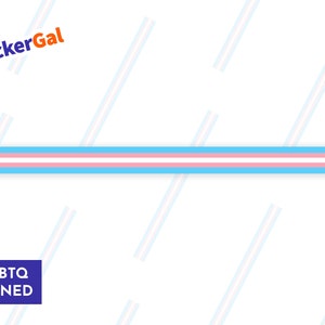 May include: A horizontal strip sticker featuring the transgender pride flag colors of light blue, pink, and white. The text StickerGal appears in the top left corner, and a purple box with the white text LGBTQ OWNED is in the bottom left corner.