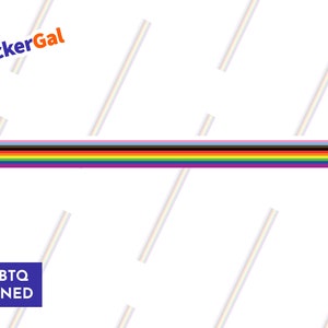 Progress Pride Flag Sticker Subtle Pride Pin Stripe - LGBTQ Owned Shop - Gay Bumper Sticker - Modern Pride Stickers Design