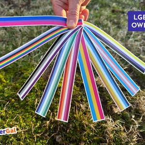 May include: A collection of ten different pride flag stickers, including the rainbow, transgender, bisexual, and pansexual flags. The stickers are arranged in a fan shape and are held in a hand. The text "LGBTQ OWNED" is visible in the upper right corner of the image.