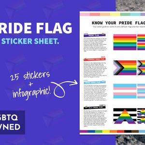Pride Flag Informational Sticker Sheet - Pride Sticker Pack - LGBTQ Owned Shop - Pride Flag Stickers - 25 Stickers