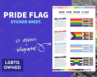Pride Flag Informational Sticker Sheet - LGBTQ+ 25-Piece Sticker Pack