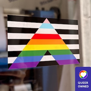 New Ally Flag Reusable Cling for Inside Windows - Safe Space Window Cling | Queer Owned Business | LGBTQIA+ Ally Inclusive